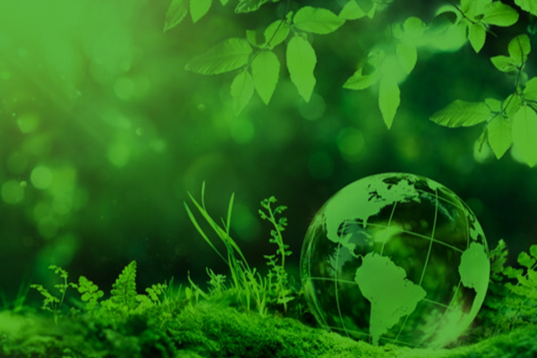 Sustainability and ESG perspectives