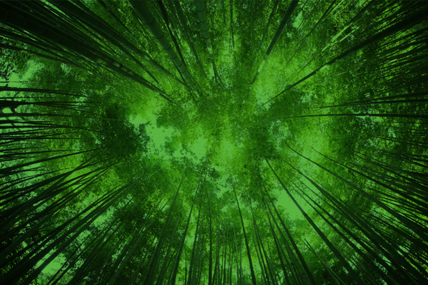 Another step on the road to UK sustainability reporting standards